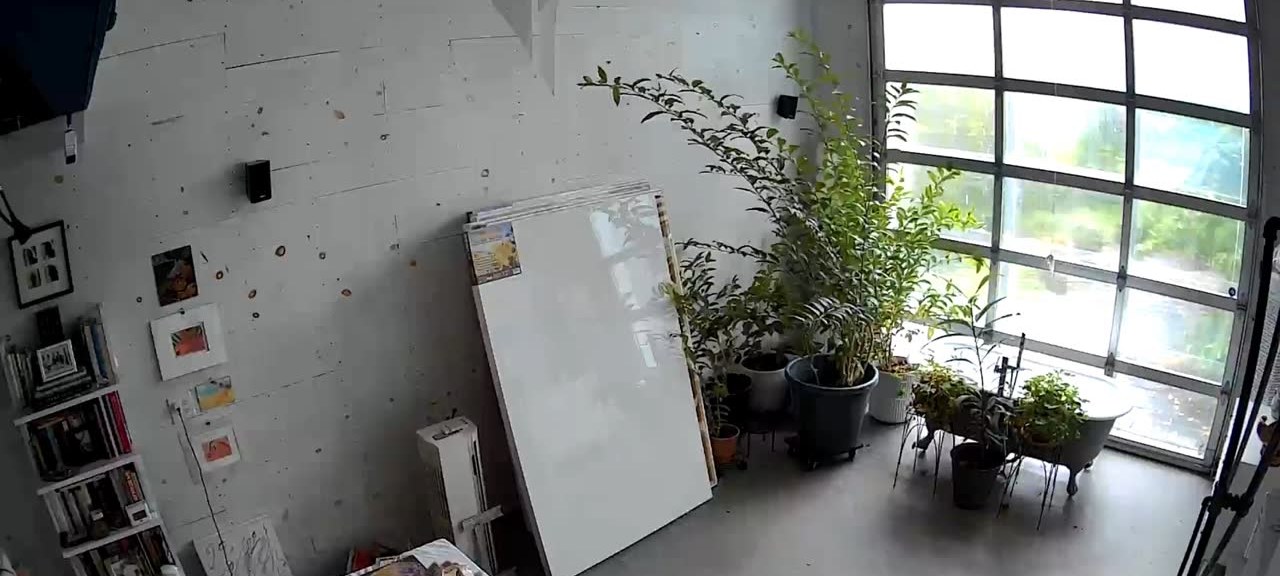 The Hypnodaddy studio: tall windows, plants and an open floor before a shoot