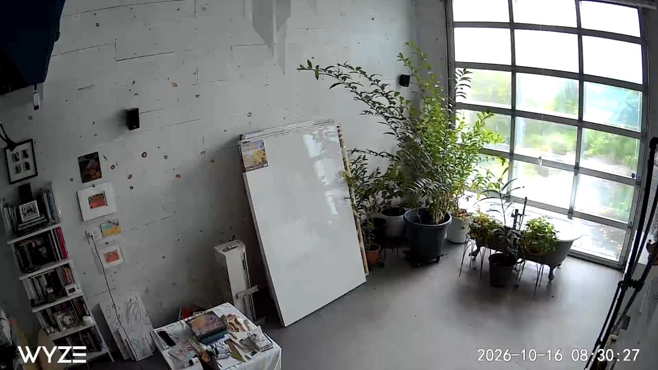 Blank canvases, plants and the big studio window